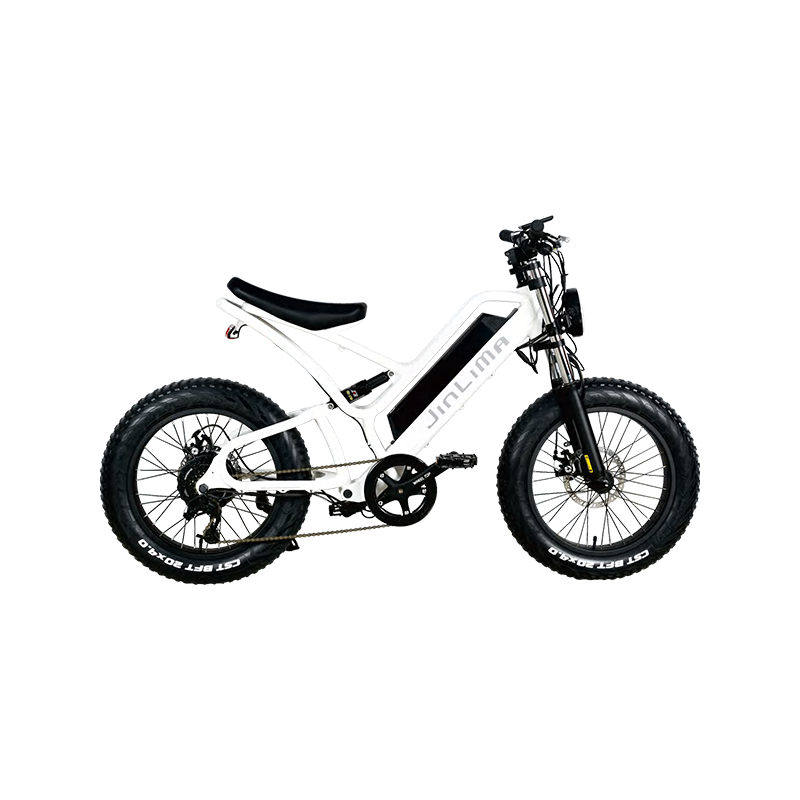 Quid est principalis genera E-bikes available in foro?