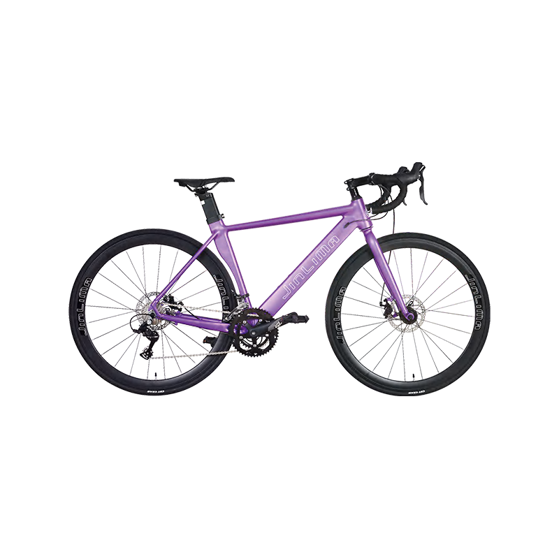 Hyb-XXVII 700C XVI-celeritate purpura Aerodynamic Road Bike