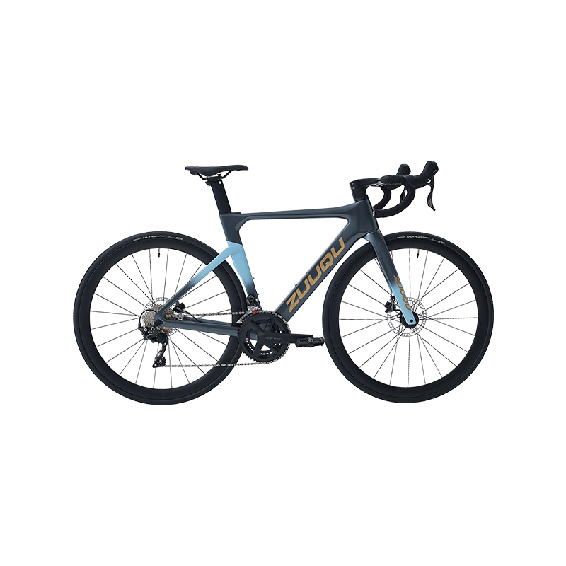 Mons Bike Suspensionis Systems: Hardtail vs